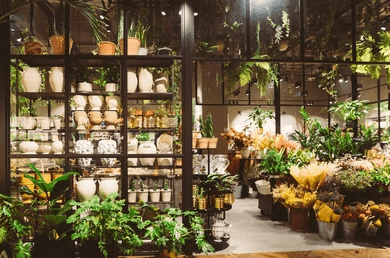 Our shop